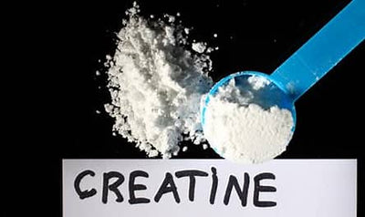 Creatine - in a nutshell